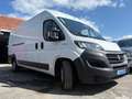 Fiat Ducato 2.3 Multijet L3H2 (EUVI) Alb - thumbnail 3