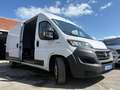 Fiat Ducato 2.3 Multijet L3H2 (EUVI) Alb - thumbnail 8