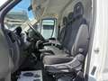Fiat Ducato 2.3 Multijet L3H2 (EUVI) Alb - thumbnail 10