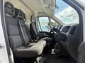 Fiat Ducato 2.3 Multijet L3H2 (EUVI) Alb - thumbnail 11