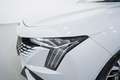 Peugeot 508 1.5BlueHDi S&S Allure EAT8 130 Blanco - thumbnail 10