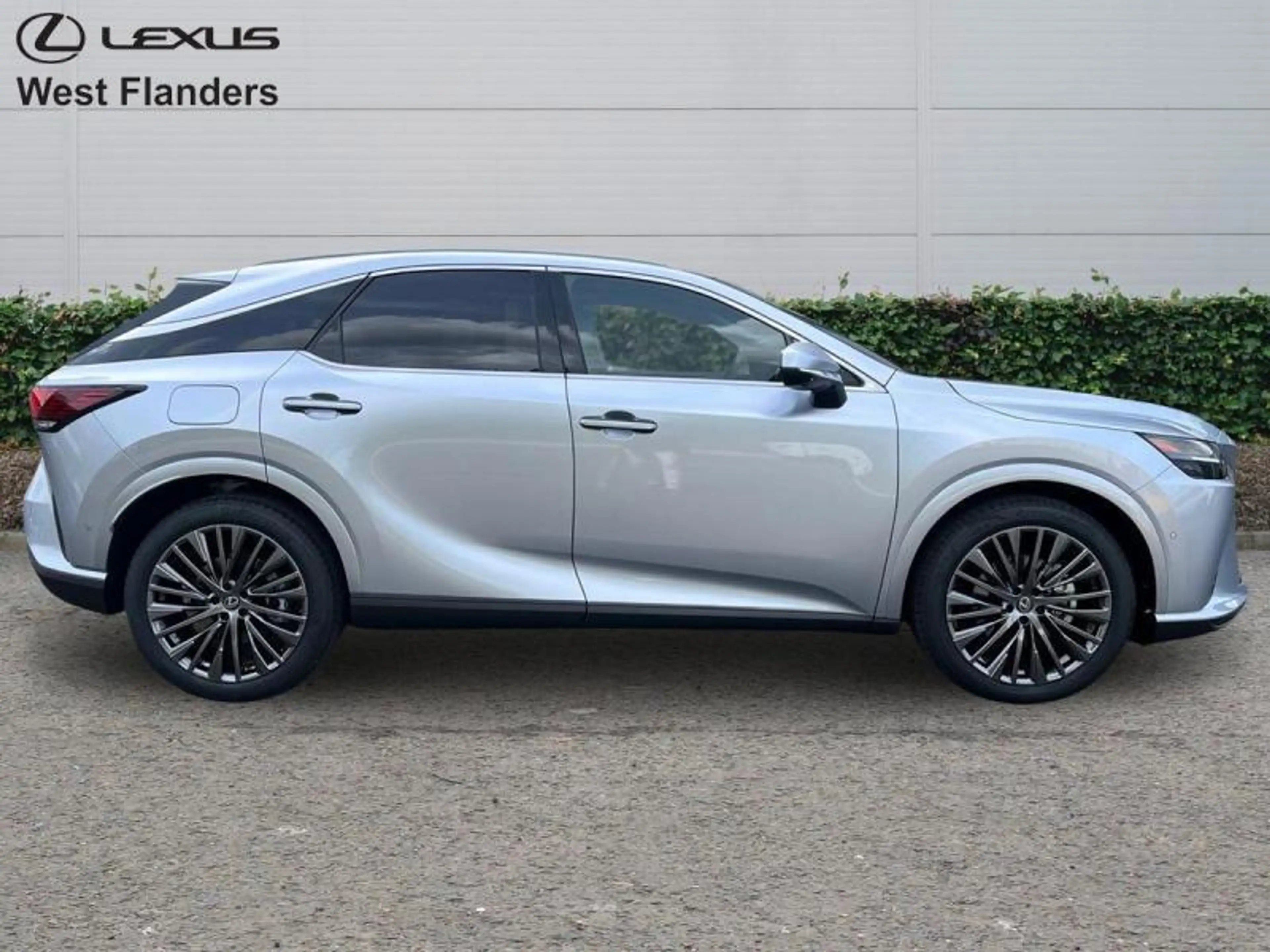 Lexus RX 450h Privilege Line + Open Roof — photo 3