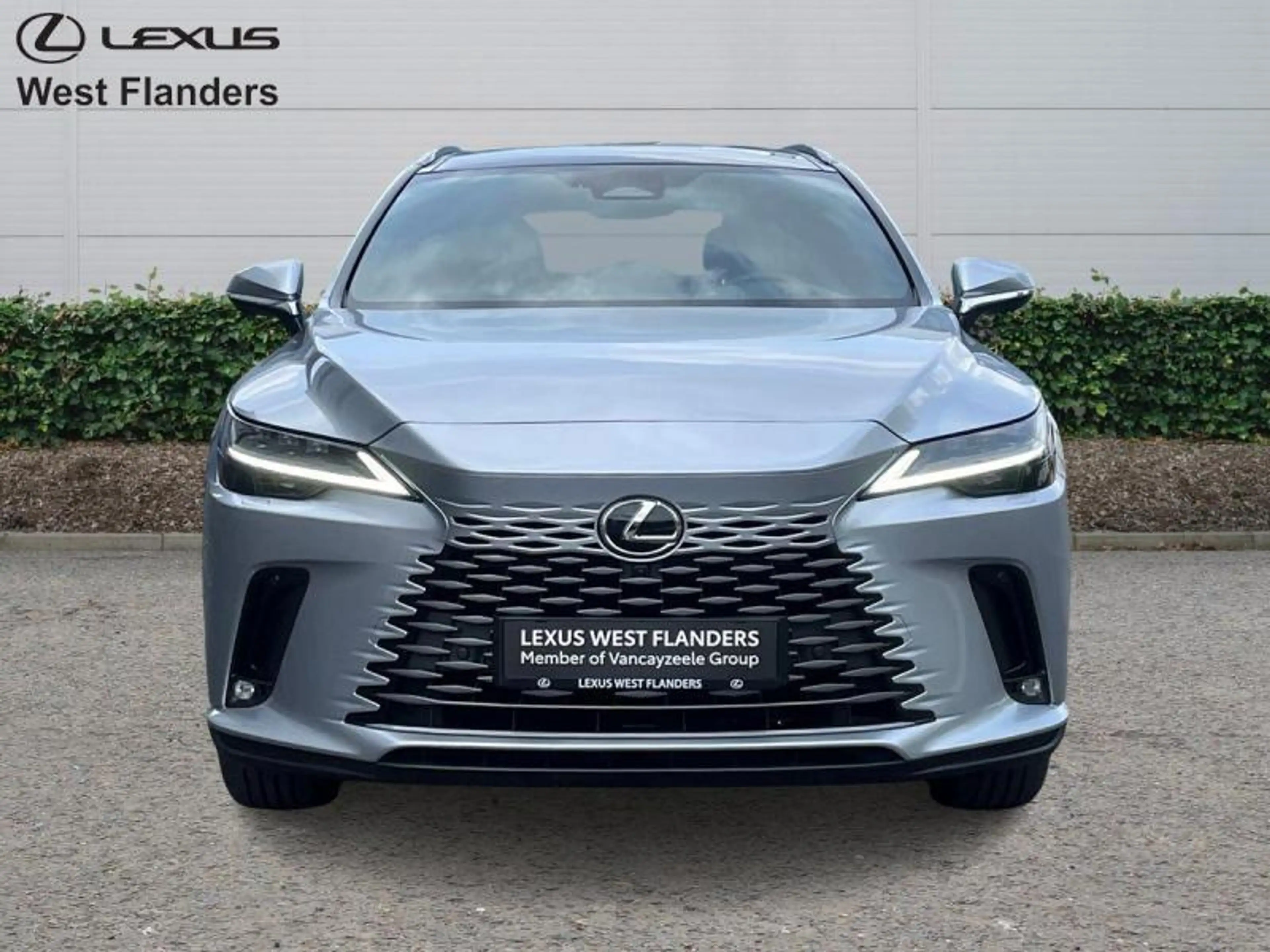 Lexus RX 450h Privilege Line + Open Roof — photo 2