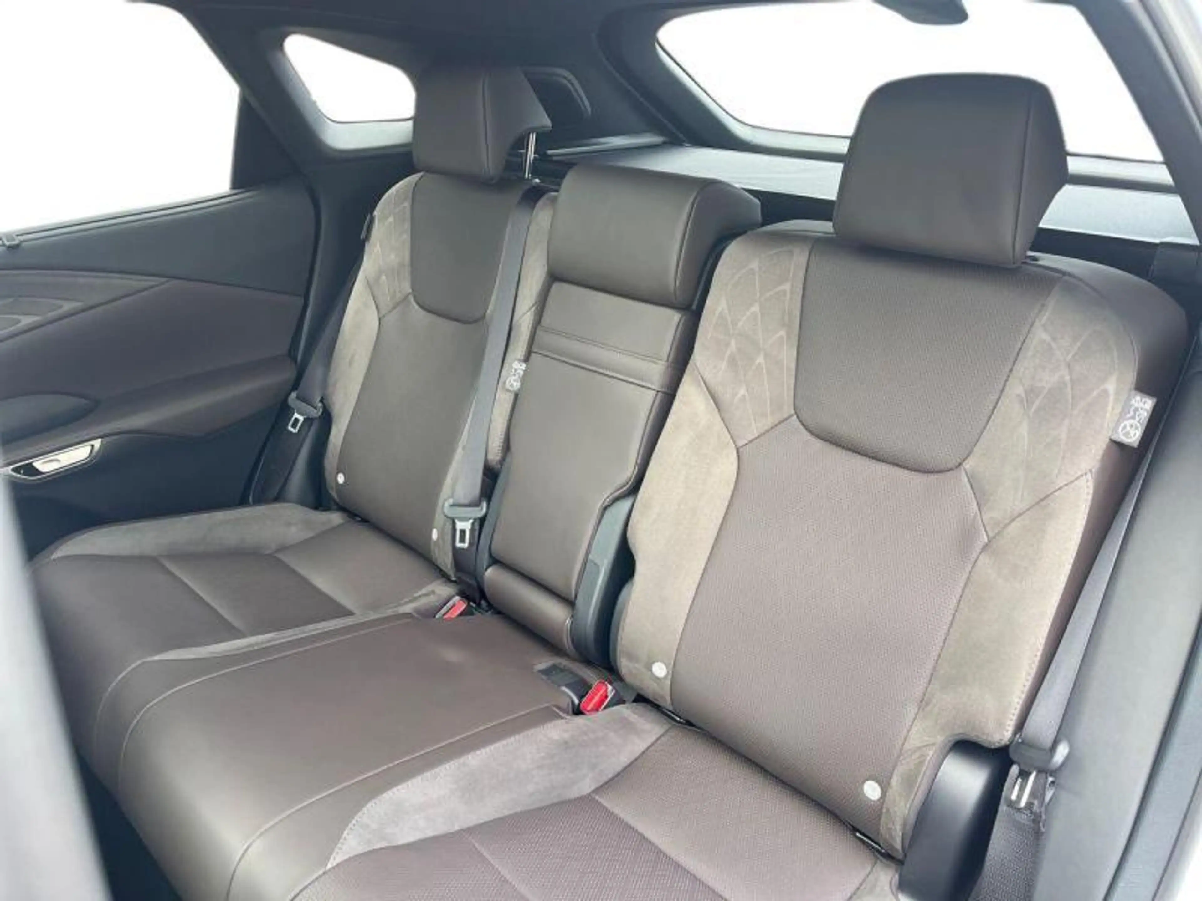 Lexus RX 450h Privilege Line + Open Roof — photo 8