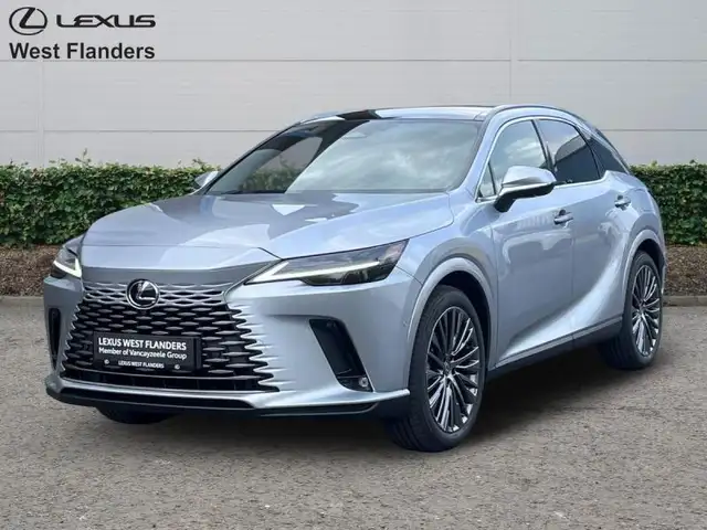 Lexus RX 450h Privilege Line + Open Roof