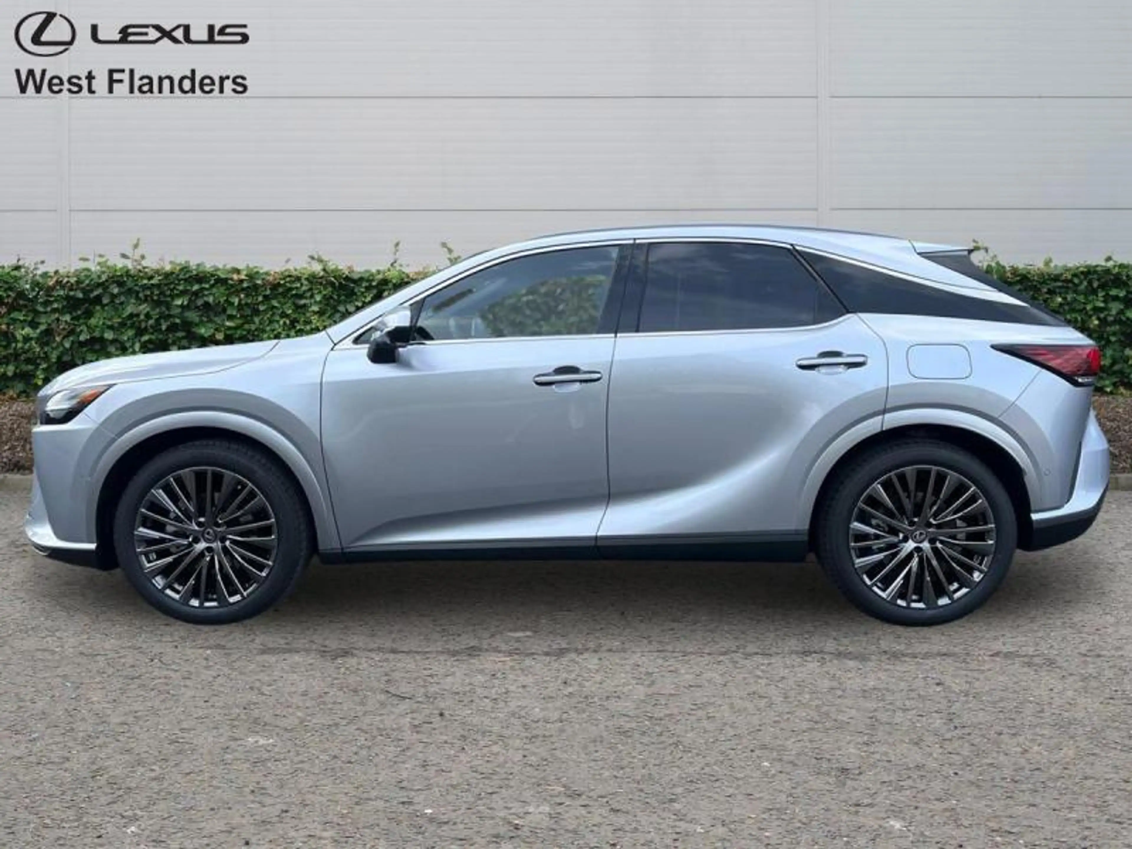 Lexus RX 450h Privilege Line + Open Roof — photo 5