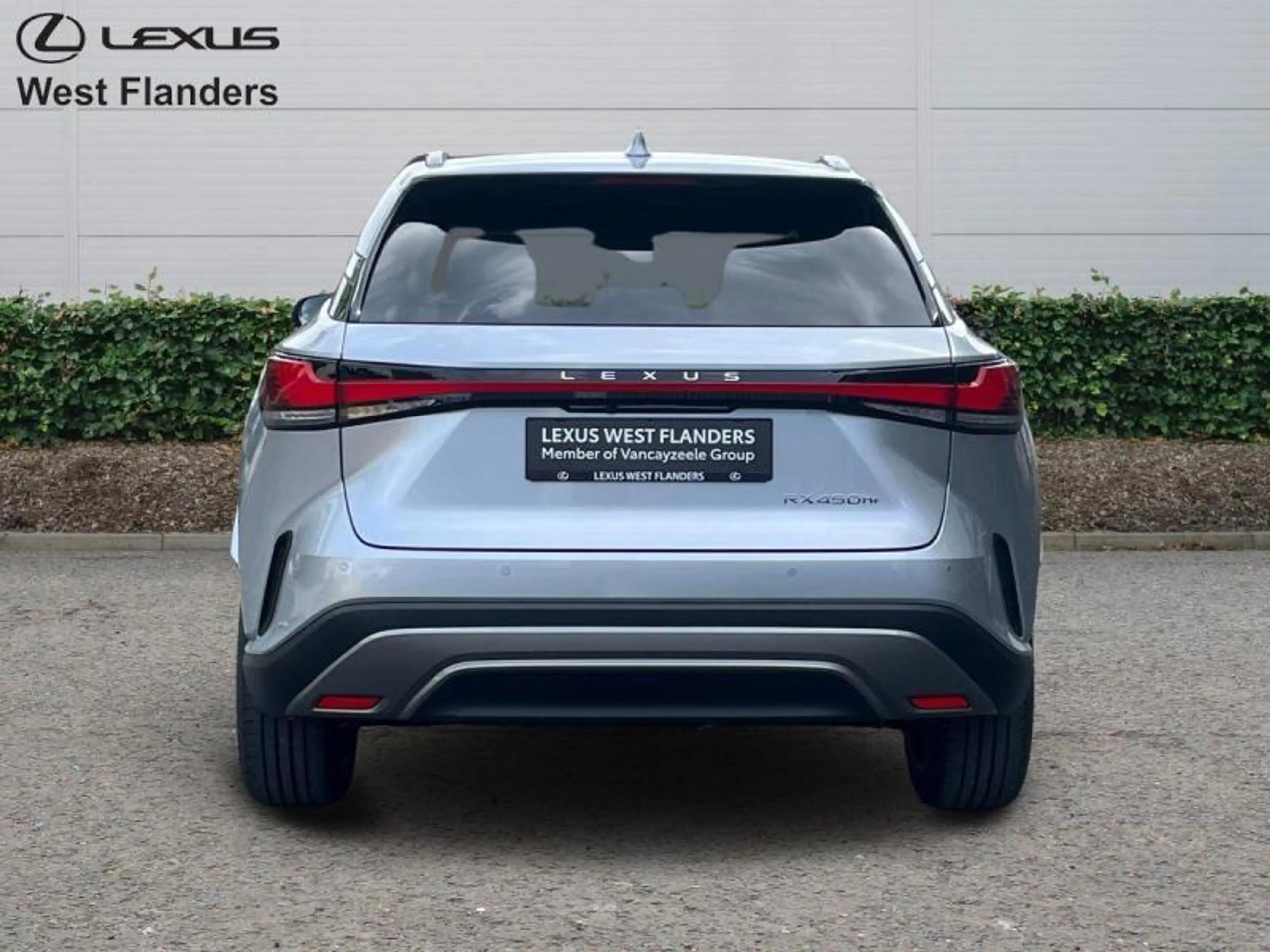 Lexus RX 450h Privilege Line + Open Roof — photo 6