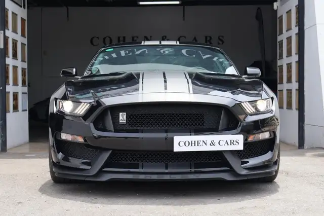 Ford Mustang view 3