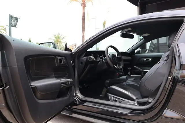 Ford Mustang view 9