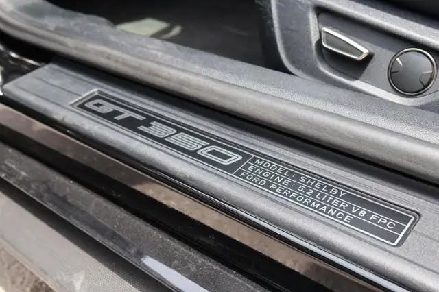 Ford Mustang view 12