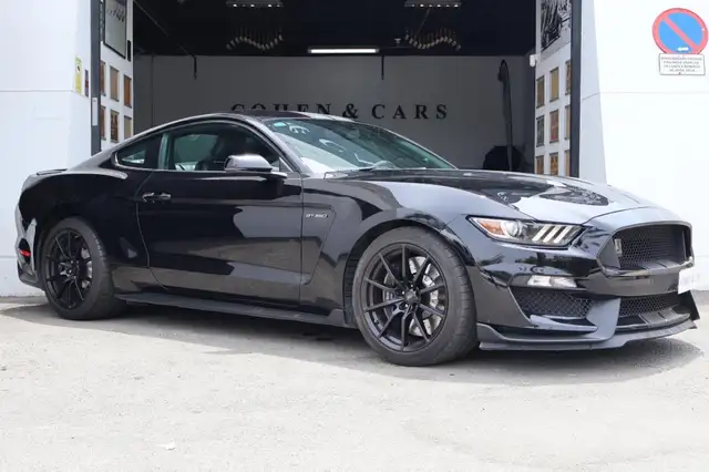 Ford Mustang view 4