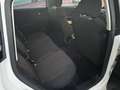 SEAT Leon 2.0TDI Open Blanco - thumbnail 9