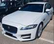 Jaguar XF XF II Berlina 2.0d R-Sport 180cv auto Bianco - thumbnail 3