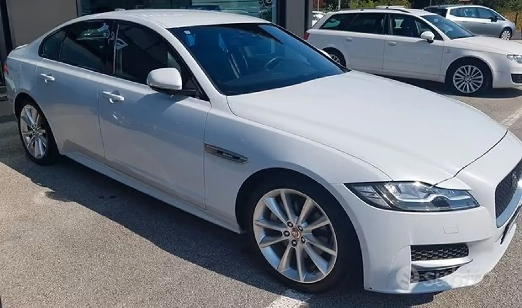 Jaguar XF XF II Berlina 2.0d R-Sport 180cv auto Bianco - 2