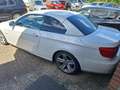 BMW 330 3-serie Cabrio 330d High Executive (injector defec Weiß - thumbnail 3