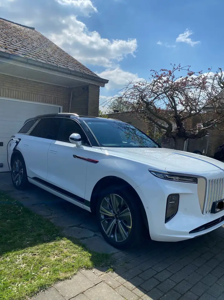 Hongqi E-HS9