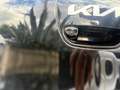 Kia Picanto Picanto 1.0 12V GPL 5p. Urban Special Edition Nero - thumbnail 9