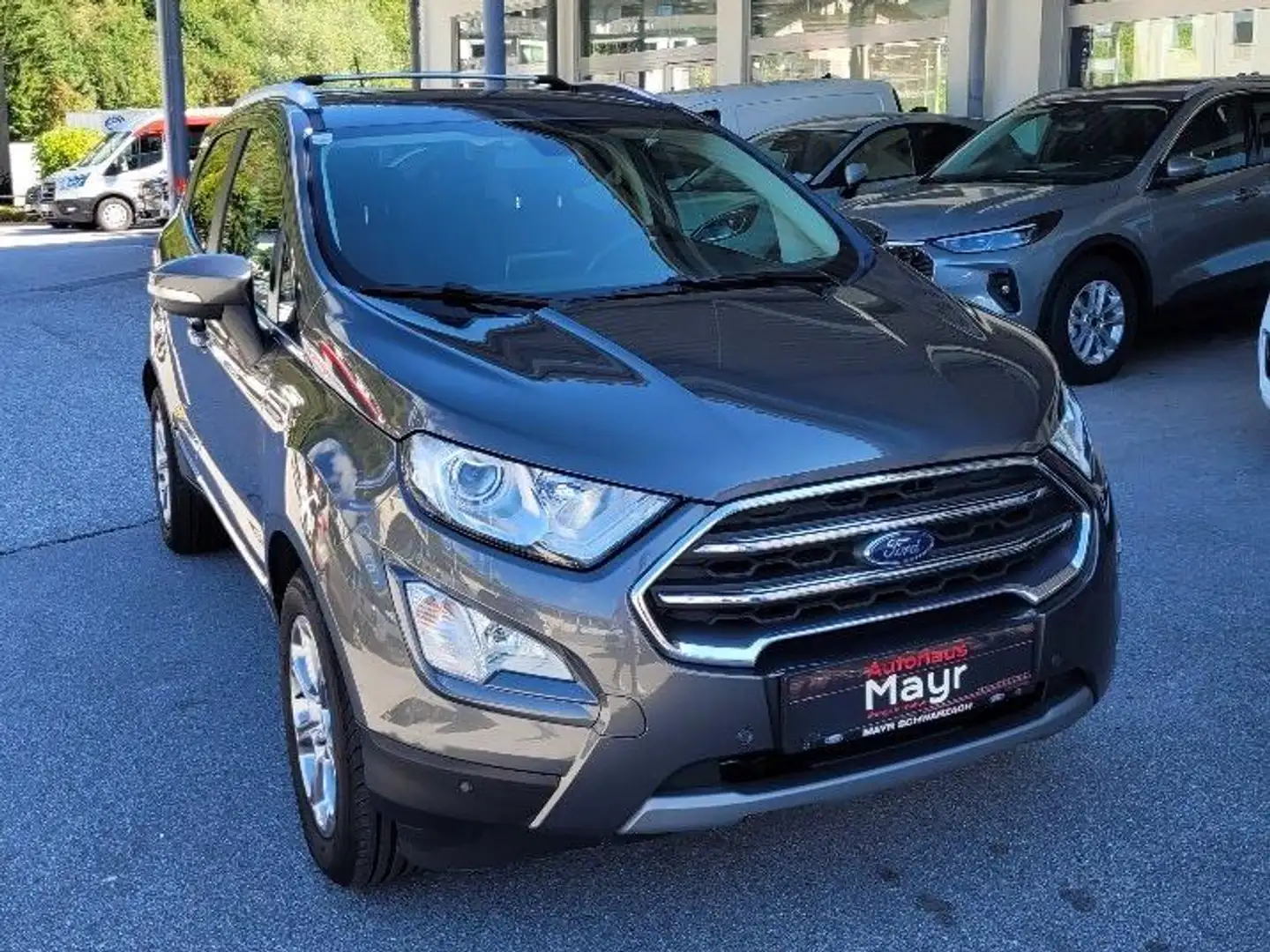 Ford EcoSport Titanium Grau - 2