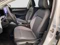 Volkswagen Golf VIII 2.0 TDI DSG AHK Navi Kamera ACC LED Weiß - thumbnail 12