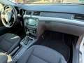 Skoda Superb Combi Exclusive Weiß - thumbnail 9