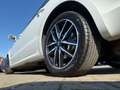 Skoda Superb Combi Exclusive Weiß - thumbnail 5