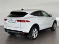 Jaguar E-Pace (X540) 2.0D I4 163 CV AWD Auto Bianco - thumbnail 6