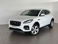 Jaguar E-Pace (X540) 2.0D I4 163 CV AWD Auto Bianco - thumbnail 1