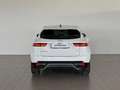Jaguar E-Pace (X540) 2.0D I4 163 CV AWD Auto Bianco - thumbnail 5