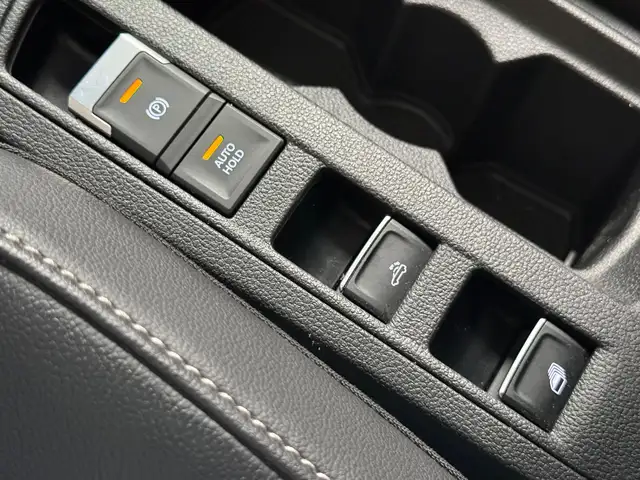 Volkswagen T-Roc view 18