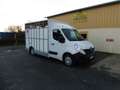 Renault Master F3500 L2H2 2.3 DCI 150CH ENERGY CONFORT EURO6 Wit - thumbnail 1