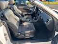 Audi A3 Cabriolet S line Sportpaket / plus  MOTOR NEU Weiß - thumbnail 12