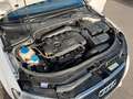 Audi A3 Cabriolet S line Sportpaket / plus  MOTOR NEU Weiß - thumbnail 17