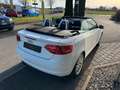 Audi A3 Cabriolet S line Sportpaket / plus  MOTOR NEU Weiß - thumbnail 3