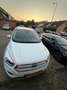 Ford Kuga Kuga 1.5 Titanium Wit - thumbnail 5