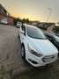 Ford Kuga Kuga 1.5 Titanium Wit - thumbnail 3