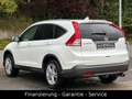 Honda CR-V Lifestyle 4WD/AUTOMATIK/1 HAND/XENON/AHK/SH Weiß - thumbnail 5