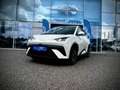 BYD Dolphin Surf Comfort 43kWh 156PS LAGER AKTION Білий - thumbnail 2