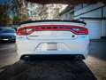Dodge Charger 6.4 392 R/T SCAT PACK *BREMBO 4*LED* Blanc - thumbnail 32