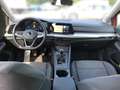 Volkswagen Golf VIII Lim. 1.5TSI Life NAVI+ACC+STNDHZG+++ Rot - thumbnail 12