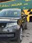 Land Rover Range Rover SWB D350 5-Sitzer HSE Arden-Veredelung Gri - thumbnail 3