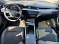 Audi e-tron 55 quattro S-Line 2x Matrix LED, Pano, B& Czarny - thumbnail 8