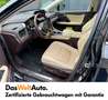 Lexus RX 450h 450h E-four President Schwarz - thumbnail 5