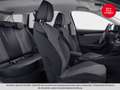 Skoda Octavia Selection TSI mHEV DSG Grau - thumbnail 6
