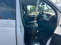 Volkswagen T6 Multivan Highline DSG 4Motion FINANZIERUNG Weiß - thumbnail 5