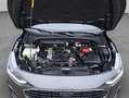 Ford Focus Turnier 1.0 EB Hybrid TITANIUM EDITION ACC Grau - thumbnail 20