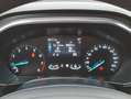 Ford Focus Turnier 1.0 EB Hybrid TITANIUM EDITION ACC Grau - thumbnail 12
