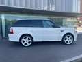 Land Rover Range Rover Sport 4.2 V8 Supercharged FE Aut. Blanc - thumbnail 7