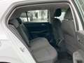 Volkswagen Golf VIII 1.5 TSI Life Kamera Klima LED Navi Sit Weiß - thumbnail 13