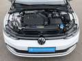 Volkswagen Golf VIII 1.5 TSI Life Kamera Klima LED Navi Sit Weiß - thumbnail 17