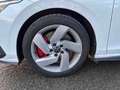 Volkswagen Golf GTI Golf 8 VIII 2.0 TSI DSG GTI LED+/Stand Weiß - thumbnail 4